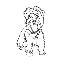 Perro #7932