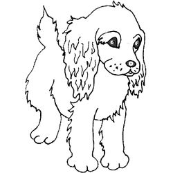 Perro #7935