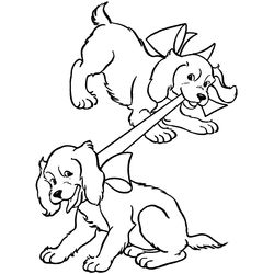 Perro #7937