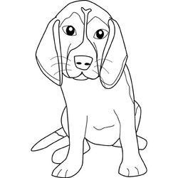 Perro #7941