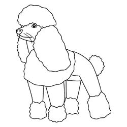Perro #7946