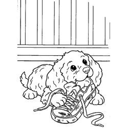 Perro #7949
