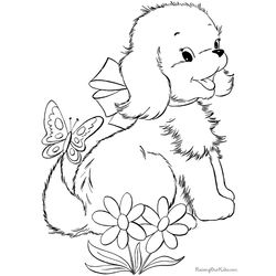 Perro #7950