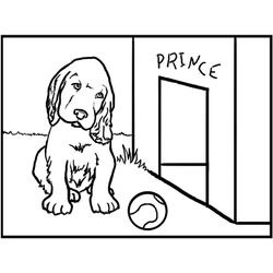 Perro #7958