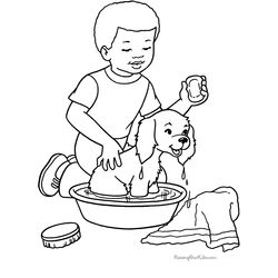 Perro #7964