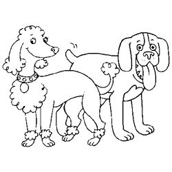 Perro #7966