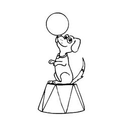 Perro #7975