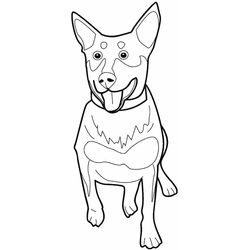 Perro #7981