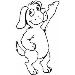 Perro #7985