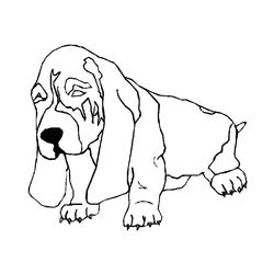 Perro #7986