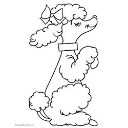Perro #7987