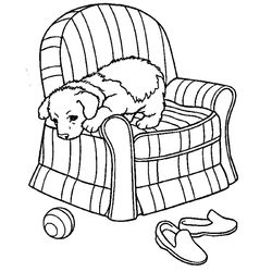 Perro #7989