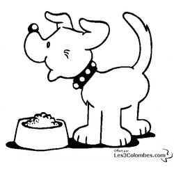 Perro #7994
