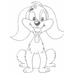 Perro #7996