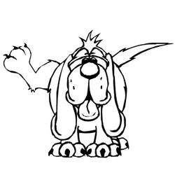 Perro #7997