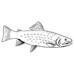 Pescado #8003