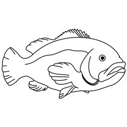 Pescado #8004
