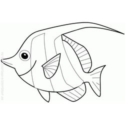 Pescado #8016