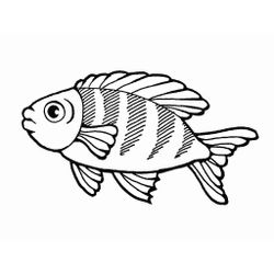 Pescado #8020