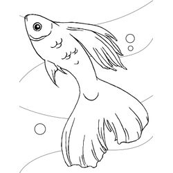 Pescado #8024