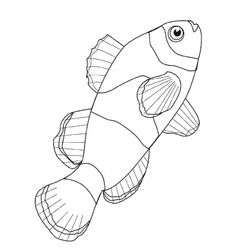 Pescado #8028