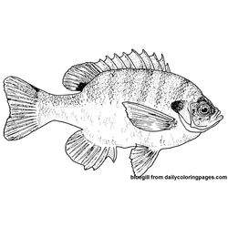 Pescado #8031