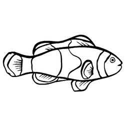 Pescado #8034
