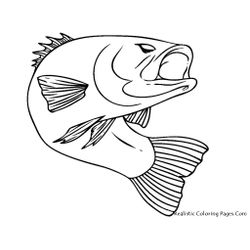 Pescado #8041
