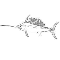 Pescado #8046
