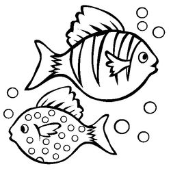 Pescado #8047