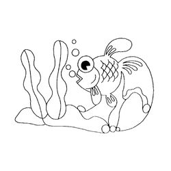 Pescado #8053