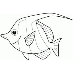 Pescado #8055
