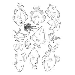 Pescado #8058