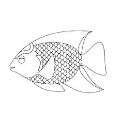 Pescado #8060