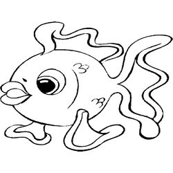 Pescado #8062