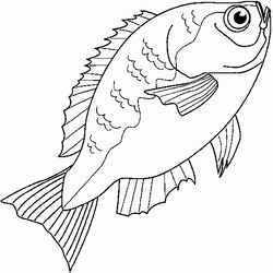 Pescado #8064
