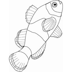 Pescado #8072