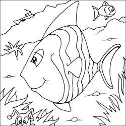 Pescado #8077