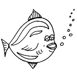 Pescado #8081
