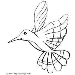 Colibrí #8103