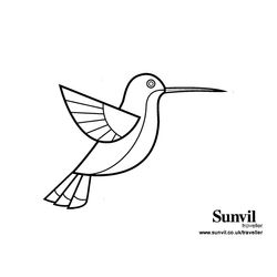 Colibrí #8107