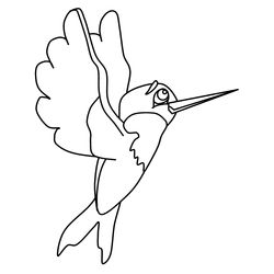 Colibrí #8111