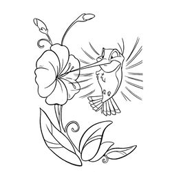 Colibrí #8113