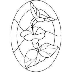 Colibrí #8117