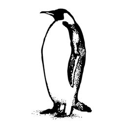 Pingüino #8132