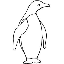 Pingüino #8136