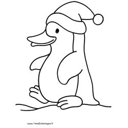 Pingüino #8137