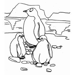 Pingüino #8147
