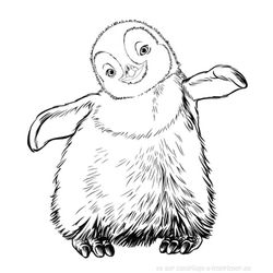 Pingüino #8149