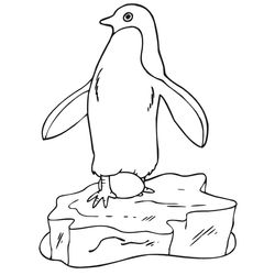Pingüino #8151